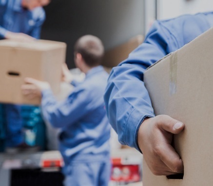 template byTRANSPOSOLUCIONES /