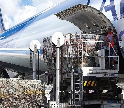 template byTRANSPOSOLUCIONES/